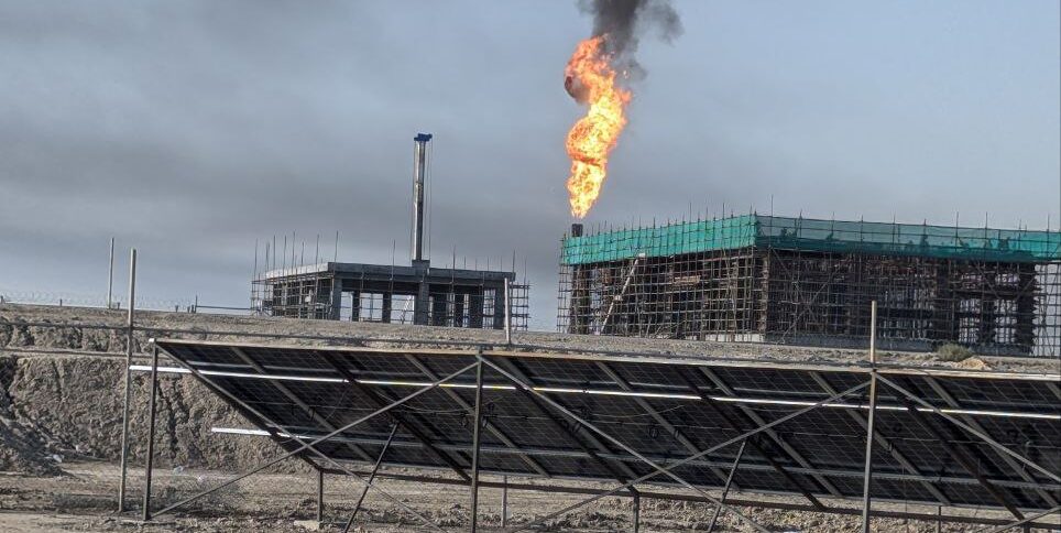 photo_2024 07 05_13 58 09 e1763751770822